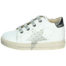 Falcotto  Lage Sneakers 0011500560.01.1N38