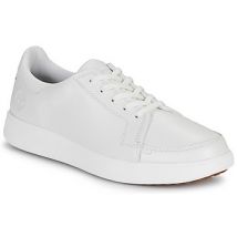 Timberland  Lage Sneakers EMERSON STREET