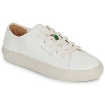 Dream in Green  Lage Sneakers JOBI
