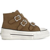 Café Noir  Lage Sneakers C1DM9002