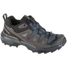 Wandelschoenen Salomon X Ultra 360 Ltr Gtx