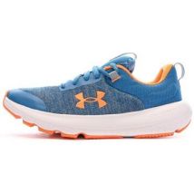 Under Armour  Lage Sneakers -