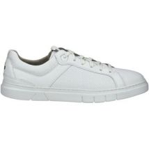 Pius Gabor  Lage Sneakers Sneaker
