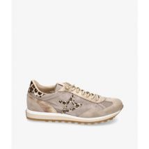 Sneakers Cetti C-1259 SRA B