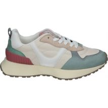 Sportschoenen Skydiva M5110MG