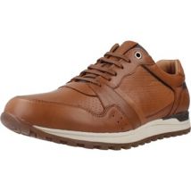 Sneakers Kangaroos K843
