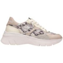 Hispanitas  Lage Sneakers -