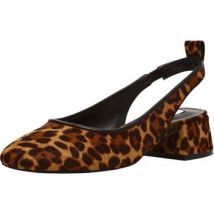 Pumps Steve Madden Pumps