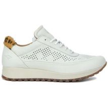 Sneakers Kangaroos 37839