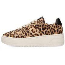 Haboob  Lage Sneakers AURELIE Dames Sneaker