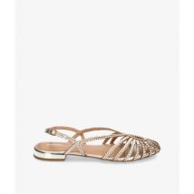 Ballerina's Gioseppo HINGHAM