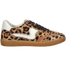 Dolce & Vita  Lage Sneakers Sneaker