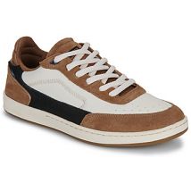 Globe  Lage Sneakers HOLAND