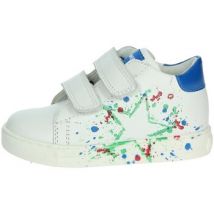 Falcotto  Hoge Sneakers 0012018372.01.2N34