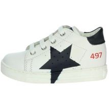 Falcotto  Hoge Sneakers 0012015331.01.1N27