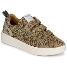 Adige  Lage Sneakers ALFAI