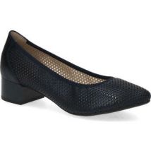Ballerina's Caprice -