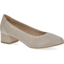 Ballerina's Caprice -