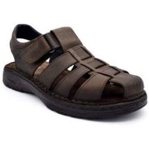 Fluchos  Lage Sneakers F2198 Bruin