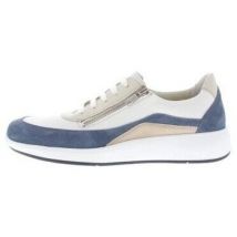 Sneakers Solidus Halea F