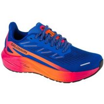 Salomon  Lage Sneakers Aero Blaze 2 Isd