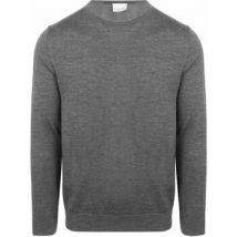 Trui Profuomo Pullover Merinowol Grijs