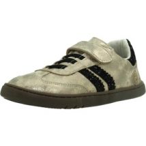 Coqueflex  Lage Sneakers 4415COV