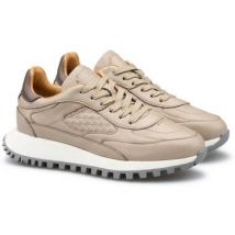 Lage Sneakers Lloyd -