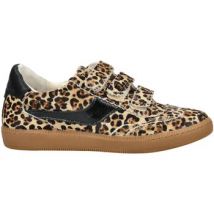 Dolce & Vita  Lage Sneakers Sneaker