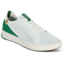 Saola  Lage Sneakers CANNON KNIT 2.0