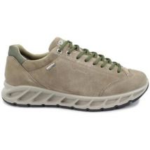 IgI&CO  Lage Sneakers IGI-I25-8683922-FA