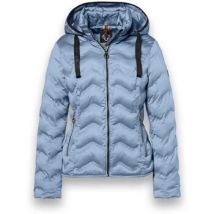 Donsjas District Snowbird