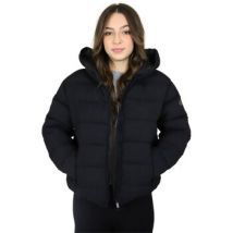 Windjack Take Two DT00751