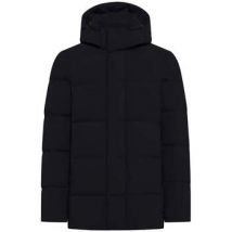 Donsjas Rrd - Roberto Ricci Designs -