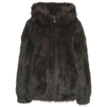 Blazer Bully -