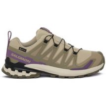 Salomon  Lage Sneakers XA Pro 3D V9 GTX