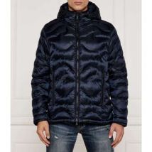 Windjack Paul &amp; Shark -
