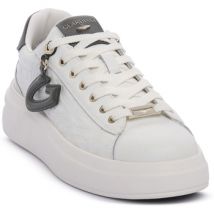 Alberto Guardiani  Lage Sneakers 051 AERIS CHARM