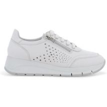 Melluso  Lage Sneakers R20096-255829