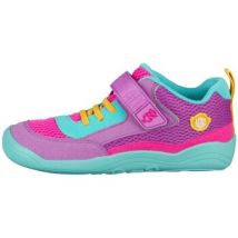 Affenzahn  Lage Sneakers 0163740147