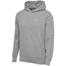 Capuchon sweaters hummel -