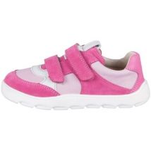 Lage Sneakers Froddo G31302648