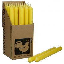25 Stabkerzen Pastellgelb 180 x 22 mm Kerzenfarm Kerzen Candle