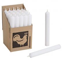 25 Stabkerzen Weiß - White 250 x 22 mm Kerzenfarm Kerzen Candle