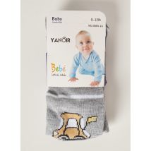 YANOIR - Collants gris en coton - Fille - Taille TU - Modz
