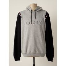 DELAHAYE PULLS ET SWEAT-SHIRTS HOMME DE COULEUR GRIS - Grande Taille