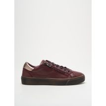 COTEMER - Baskets violet en cuir - Femme - Taille 36 - Modz