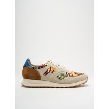 PANAFRICA - Baskets marron en textile - Homme - Taille 44 - Modz