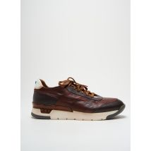 AREA FORTE - Baskets marron en cuir - Homme - Taille 45 - Modz