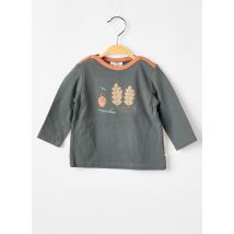 MOULIN ROTY - T-shirt vert en coton - Garçon - Taille TU - Modz